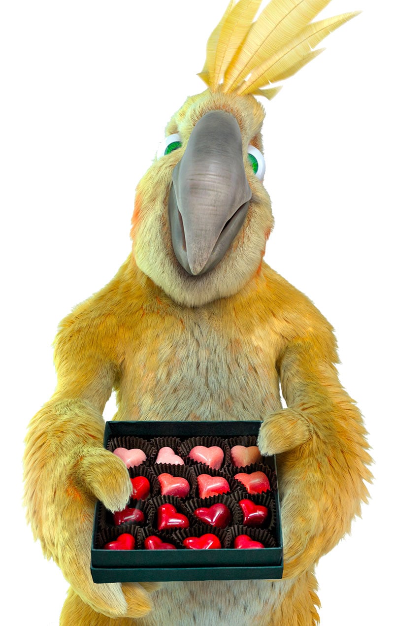 Pablo de BURDDY is happy to accompany you for your wedding