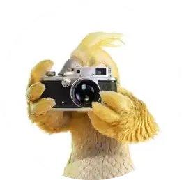 Prêts pour la photo ?